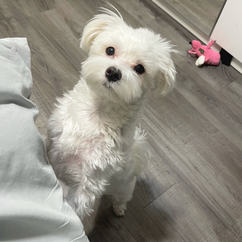 Meet your Posher, Margaret